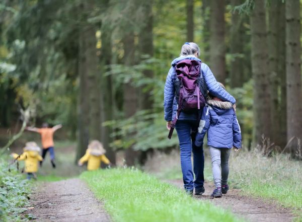 Des vacances inoubliables en pleine nature à saint-palais
