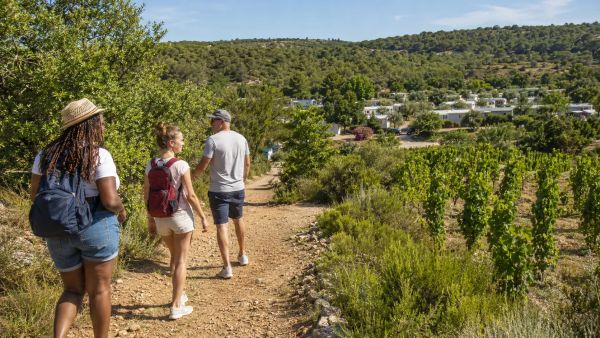 Optimiser votre séjour plein air dans l'Hérault pour des vacances inoubliables